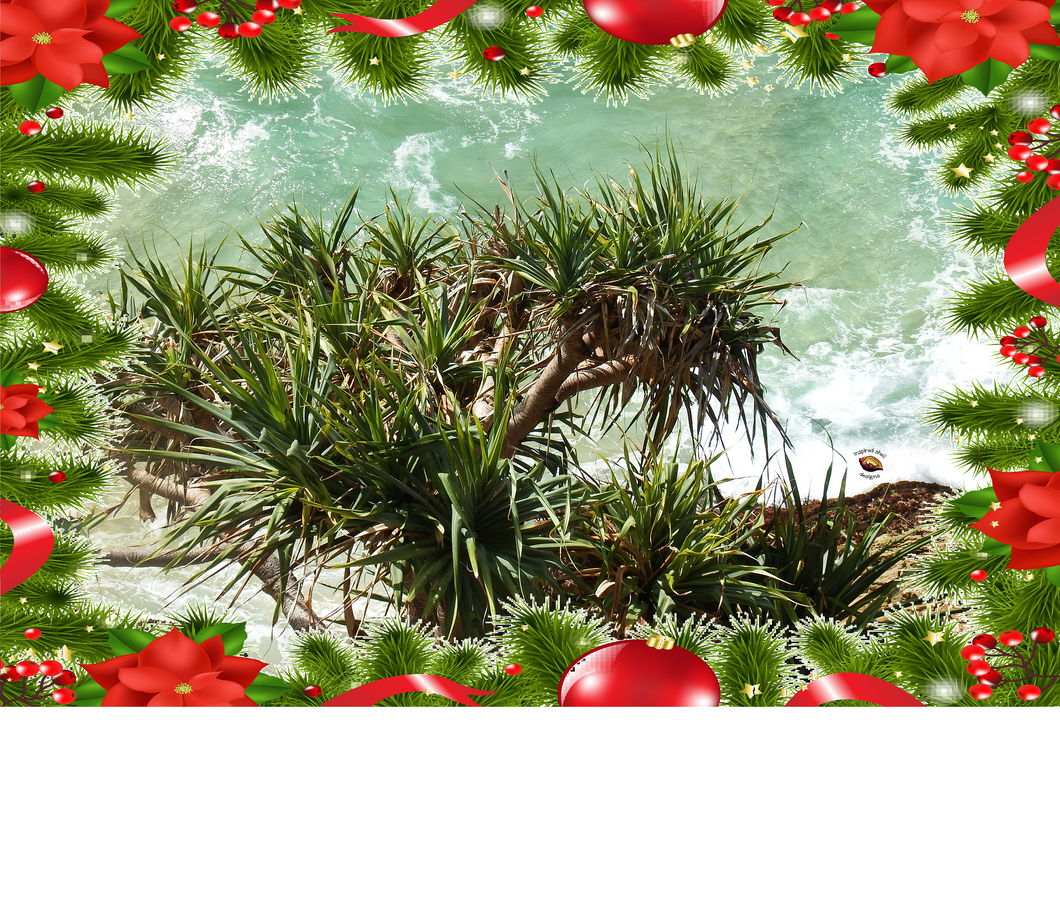 Christmas Card ~ Beach