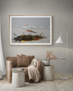 Hampton's Style Beach Canvas Art Natures Flotsam