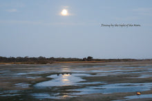 Load image into Gallery viewer, Home Decor Canvas Beach Art Full Moon Swans Dining by the Light of the Moon