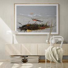 Load image into Gallery viewer, Hampton&#39;s Style Beach Canvas Art Natures Flotsam
