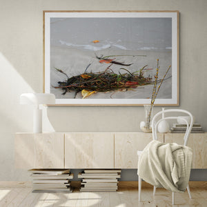 Hampton's Style Beach Canvas Art Natures Flotsam