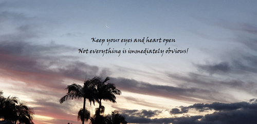Home Decor Wall Art Inspired Words New Moon