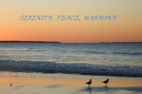 Home Decor Wall Art Beach Sunset Chilled