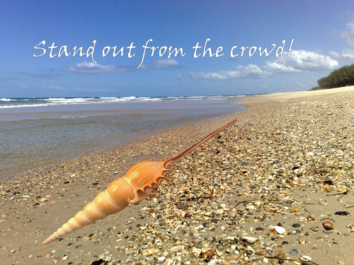 Greeting Cards Beach Art Inspired Words