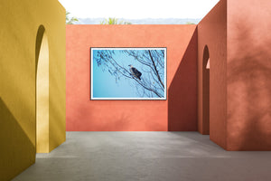 Home Decor Wall Art Beach Sea Eagle