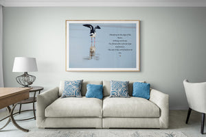Beach Wall Art Sea Bird Flight Edge of Ocean